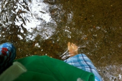 Sommerfahrt Buckow (Juli 2012)