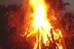 Ummanz (Sommer 2008)